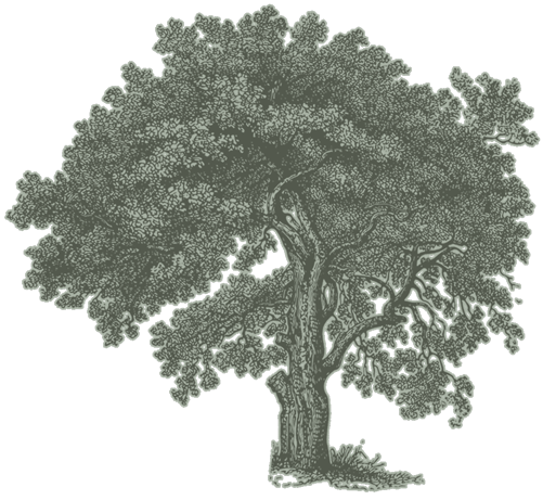 1225 ASSET ACEH 16.png