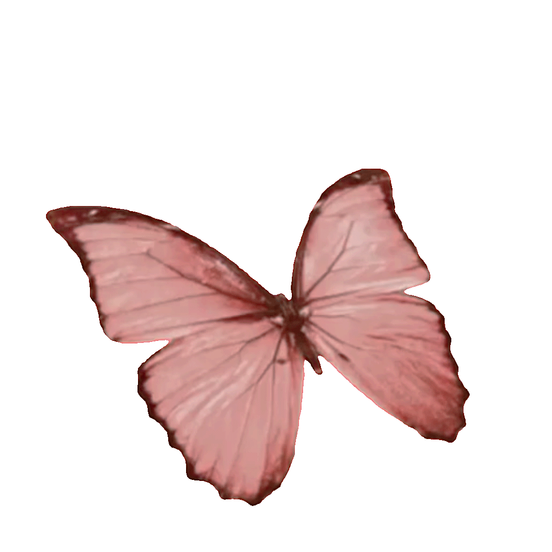 Butterfly 3 gif.gif